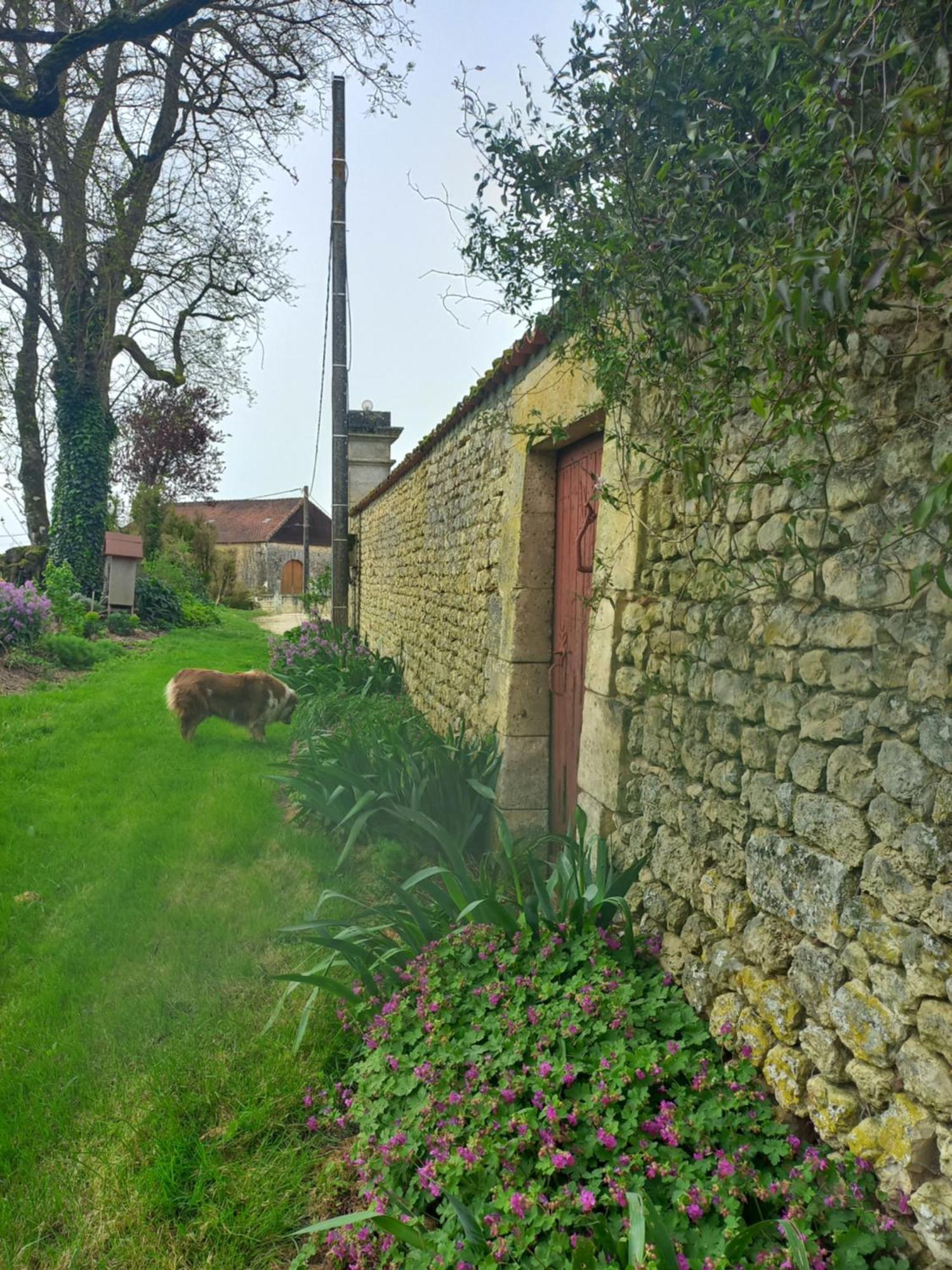 Bed and Breakfast Domaine Chez Maurice à Becheresse Extérieur photo